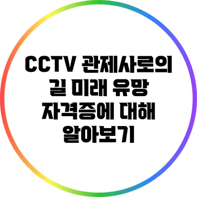 CCTV 관제사로의 길: 미래 유망 자격증에 대해 알아보기
