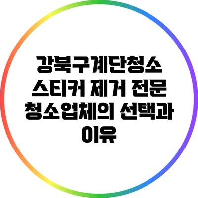 강북구계단청소: 스티커 제거 전문 청소업체의 선택과 이유