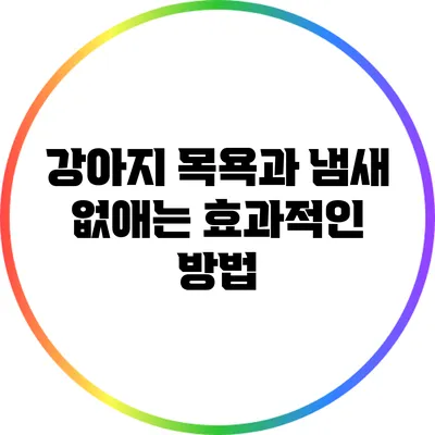 강아지 목욕과 냄새 없애는 효과적인 방법