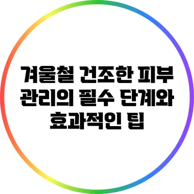 겨울철 건조한 피부 관리의 필수 단계와 효과적인 팁