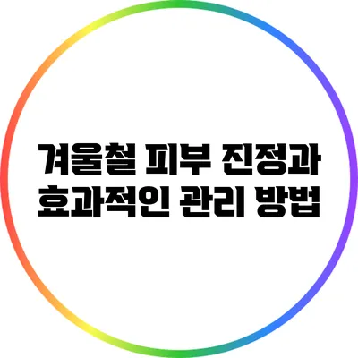 겨울철 피부 진정과 효과적인 관리 방법
