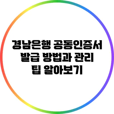 경남은행 공동인증서 발급 방법과 관리 팁 알아보기