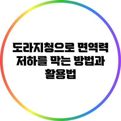 도라지청으로 면역력 저하를 막는 방법과 활용법