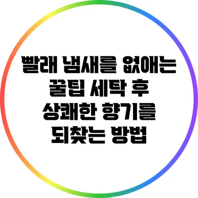 빨래 냄새를 없애는 꿀팁: 세탁 후 상쾌한 향기를 되찾는 방법