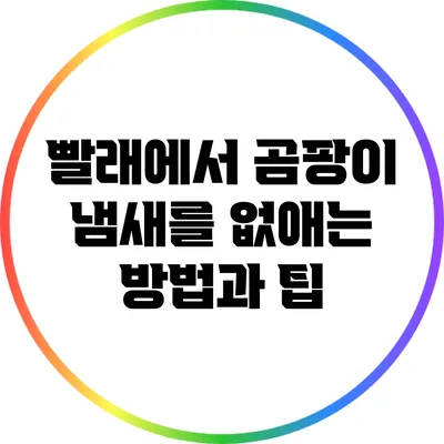 빨래에서 곰팡이 냄새를 없애는 방법과 팁