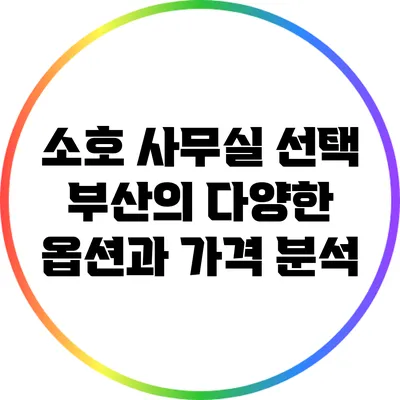 소호 사무실 선택: 부산의 다양한 옵션과 가격 분석