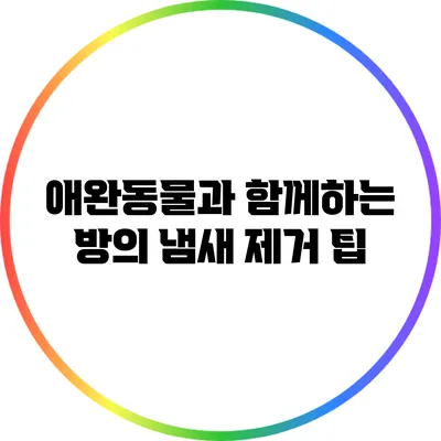 애완동물과 함께하는 방의 냄새 제거 팁