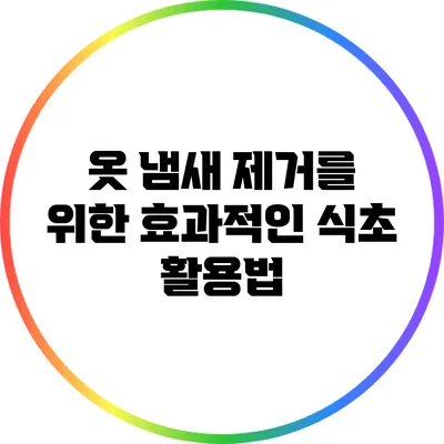 옷 냄새 제거를 위한 효과적인 식초 활용법