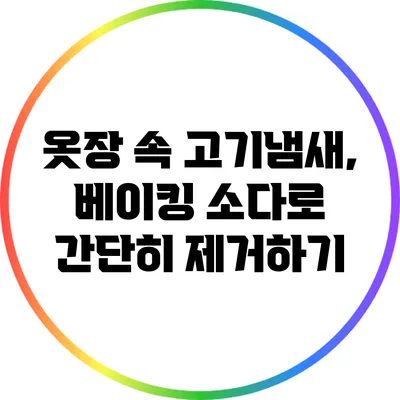옷장 속 고기냄새, 베이킹 소다로 간단히 제거하기