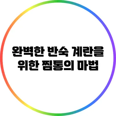 완벽한 반숙 계란을 위한 찜통의 마법