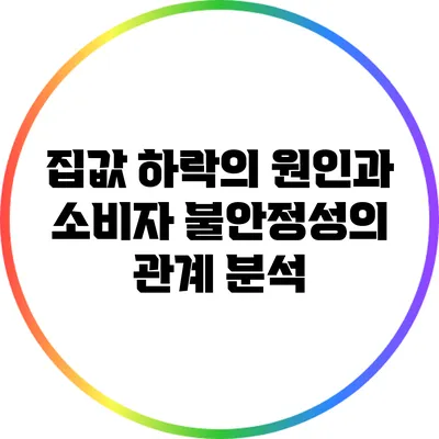 집값 하락의 원인과 소비자 불안정성의 관계 분석
