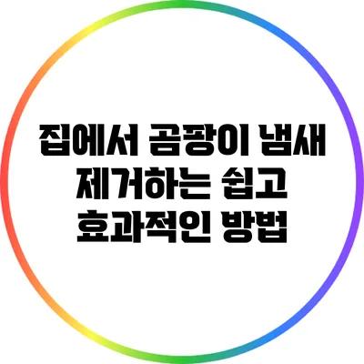 집에서 곰팡이 냄새 제거하는 쉽고 효과적인 방법