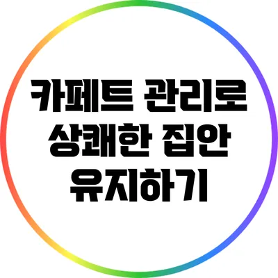 카페트 관리로 상쾌한 집안 유지하기