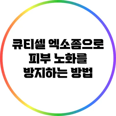 큐티셀 엑소좀으로 피부 노화를 방지하는 방법