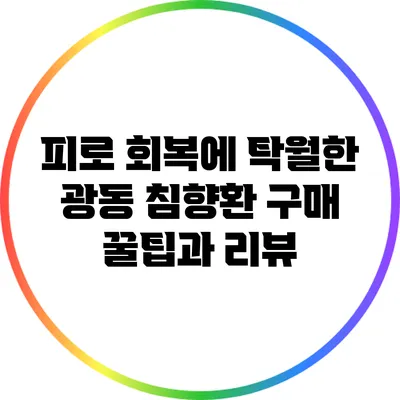 피로 회복에 탁월한 광동 침향환 구매 꿀팁과 리뷰