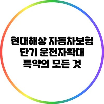 현대해상 자동차보험 단기 운전자확대 특약의 모든 것