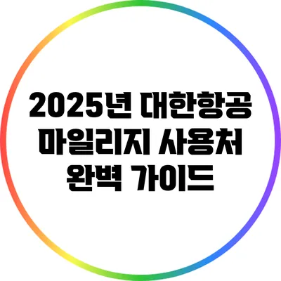 2025년 대한항공 마일리지 사용처 완벽 가이드