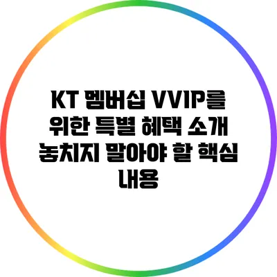 KT 멤버십 VVIP를 위한 특별 혜택 소개: 놓치지 말아야 할 핵심 내용