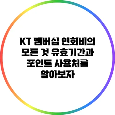 KT 멤버십 연회비의 모든 것: 유효기간과 포인트 사용처를 알아보자