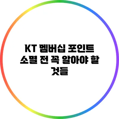 KT 멤버십 포인트 소멸 전 꼭 알아야 할 것들