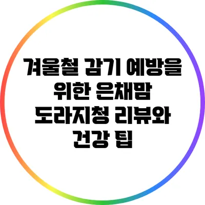 겨울철 감기 예방을 위한 은채맘 도라지청 리뷰와 건강 팁