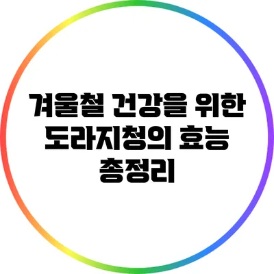 겨울철 건강을 위한 도라지청의 효능 총정리