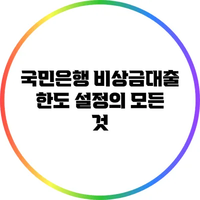 국민은행 비상금대출 한도 설정의 모든 것