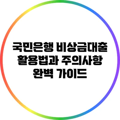 국민은행 비상금대출 활용법과 주의사항 완벽 가이드