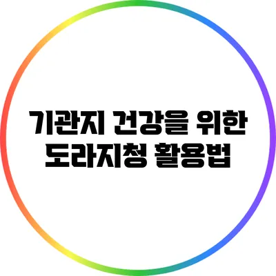 기관지 건강을 위한 도라지청 활용법