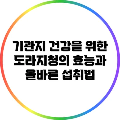 기관지 건강을 위한 도라지청의 효능과 올바른 섭취법