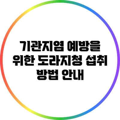 기관지염 예방을 위한 도라지청 섭취 방법 안내