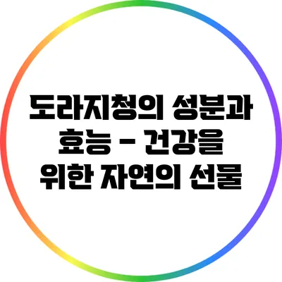 도라지청의 성분과 효능 – 건강을 위한 자연의 선물