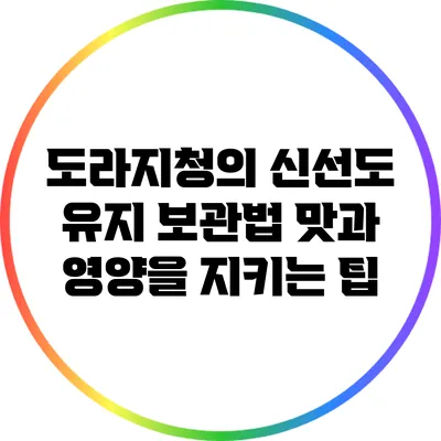 도라지청의 신선도 유지 보관법: 맛과 영양을 지키는 팁