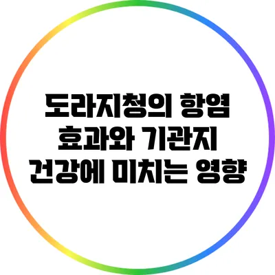 도라지청의 항염 효과와 기관지 건강에 미치는 영향
