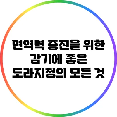 면역력 증진을 위한 감기에 좋은 도라지청의 모든 것