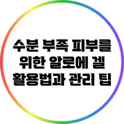 수분 부족 피부를 위한 알로에 겔 활용법과 관리 팁