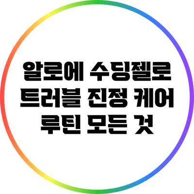 알로에 수딩젤로 트러블 진정 케어 루틴 모든 것