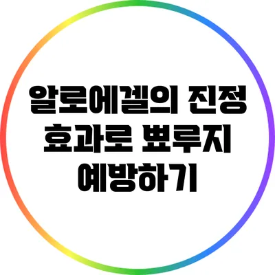 알로에겔의 진정 효과로 뾰루지 예방하기