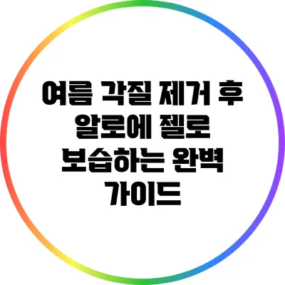 여름 각질 제거 후 알로에 젤로 보습하는 완벽 가이드