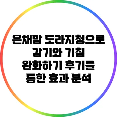 은채맘 도라지청으로 감기와 기침 완화하기: 후기를 통한 효과 분석
