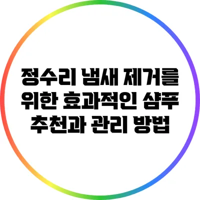 정수리 냄새 제거를 위한 효과적인 샴푸 추천과 관리 방법