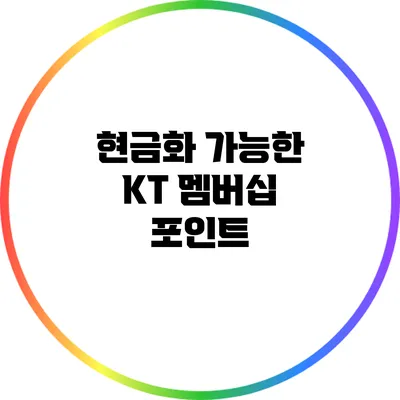 현금화 가능한 KT 멤버십 포인트