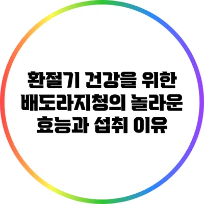 환절기 건강을 위한 배도라지청의 놀라운 효능과 섭취 이유