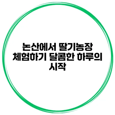 논산에서 딸기농장 체험하기 달콤한 하루의 시작