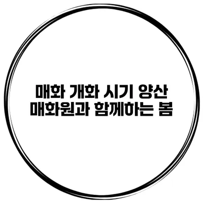 매화 개화 시기 양산 매화원과 함께하는 봄